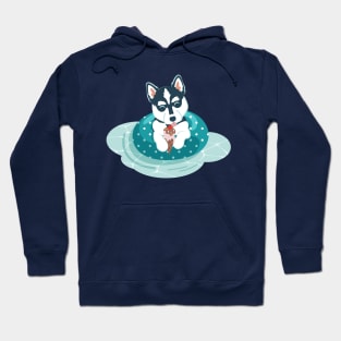 Summer pool pawty // aqua background husky dog on swimming pool float eating icecream Hoodie